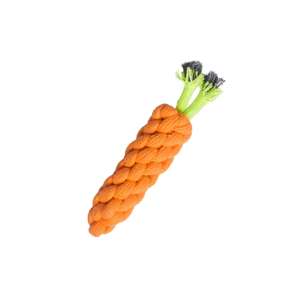 Carrot Rope Toy