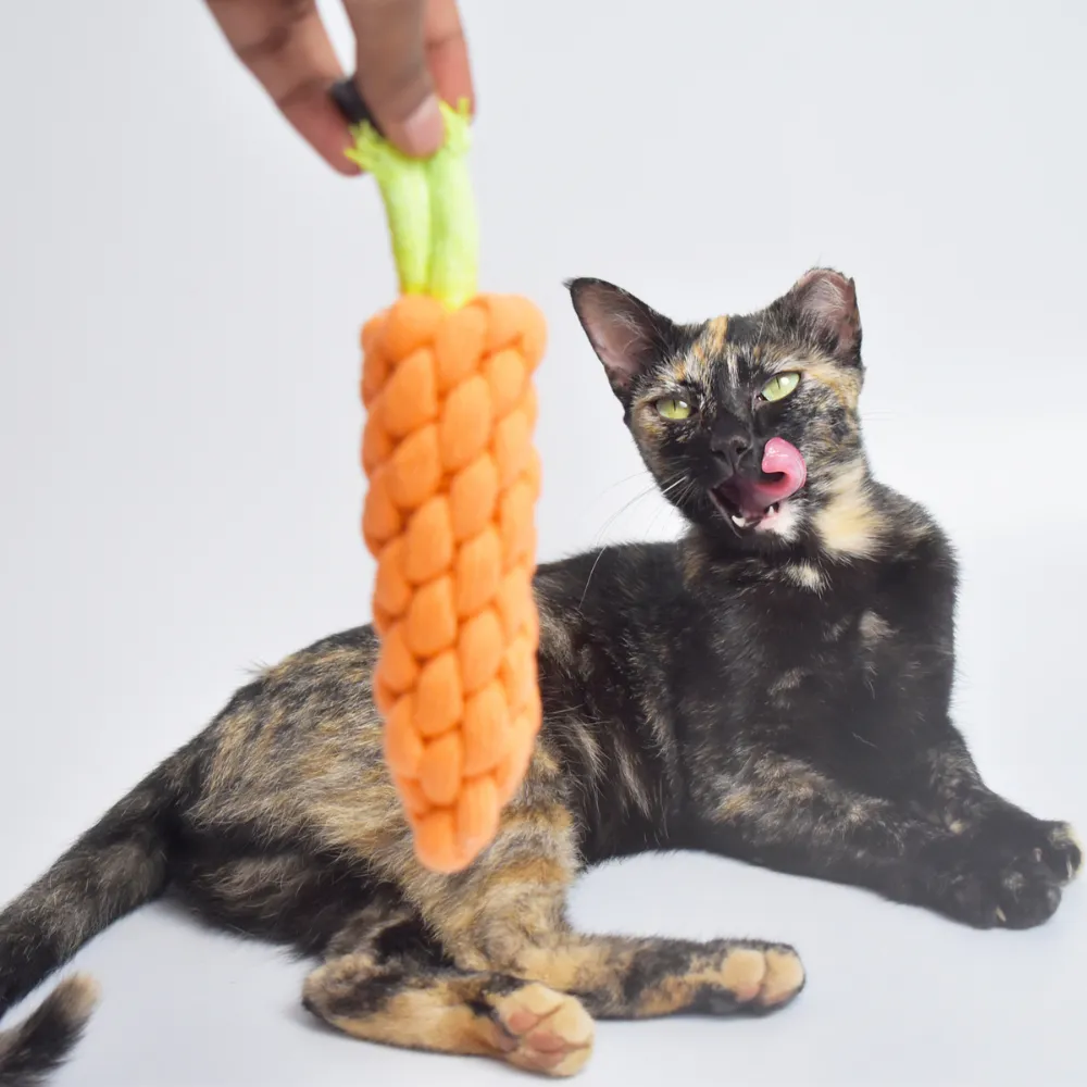 Carrot Rope Toy