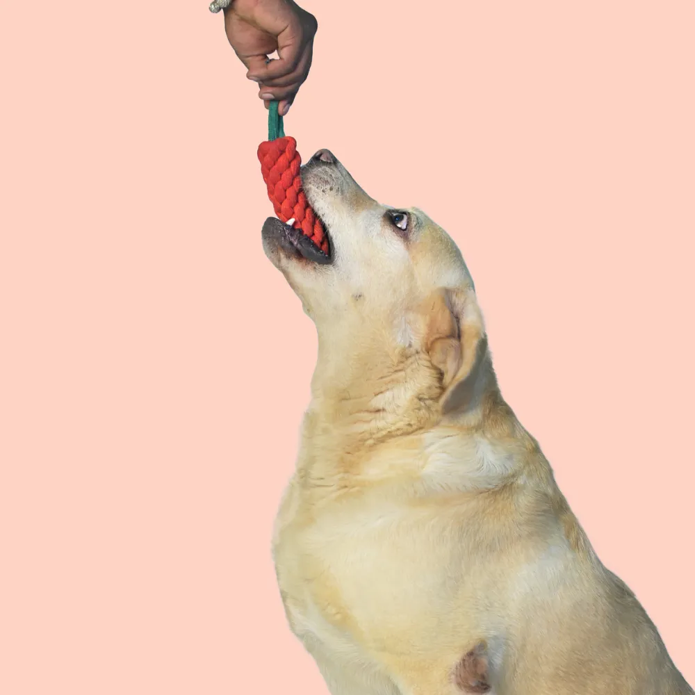 Carrot Rope Toy