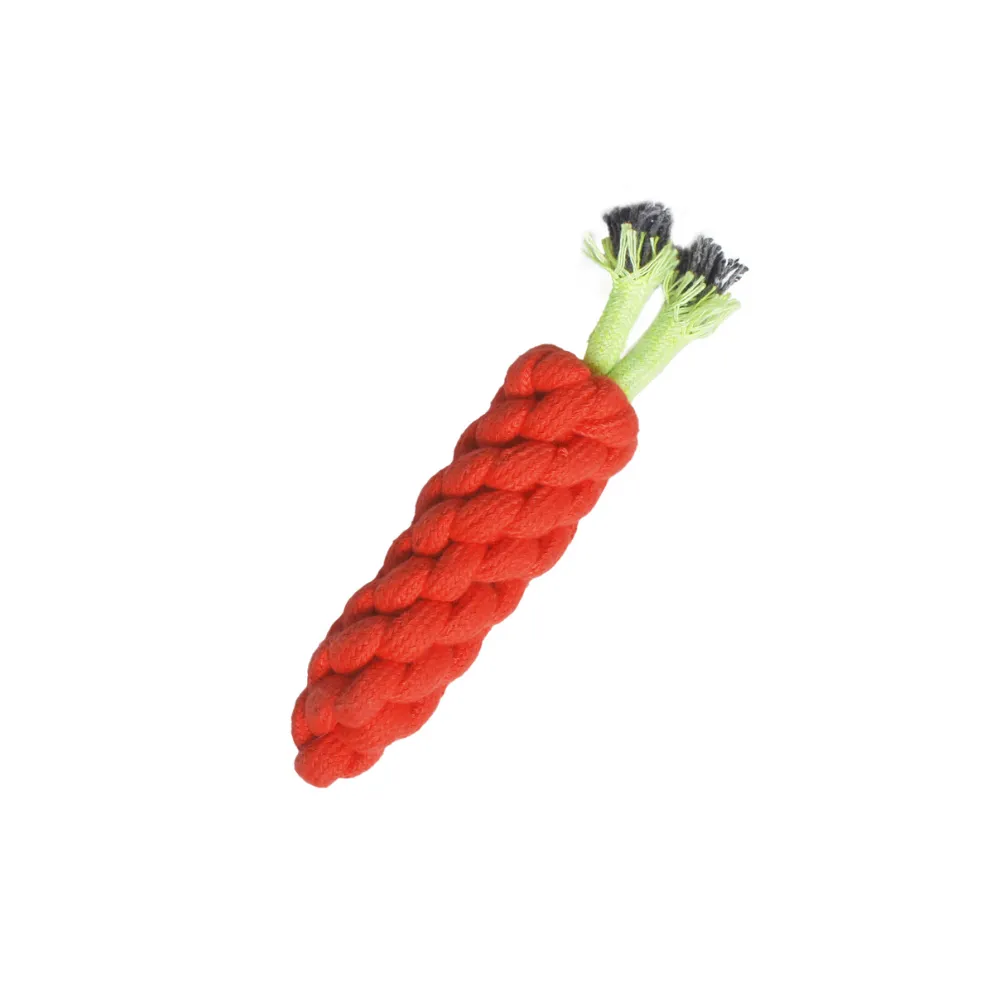 Carrot Rope Toy