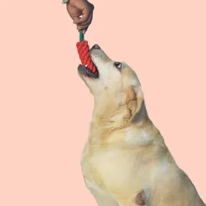 Carrot Rope Toy