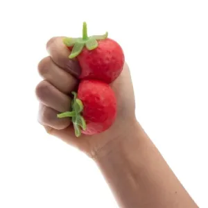 Discovery Zone Squishy Strawberry