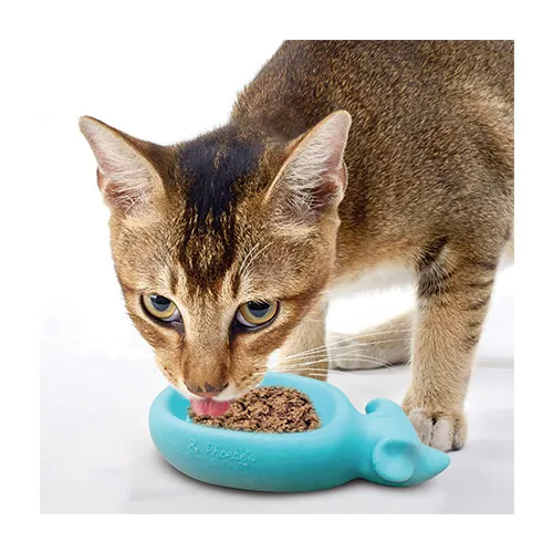 Doc & Phoebe's - The Wet Feeder