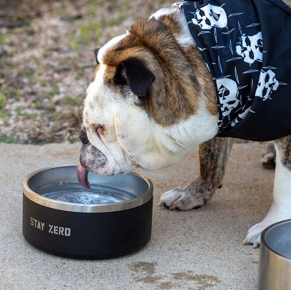 Dog Bowl