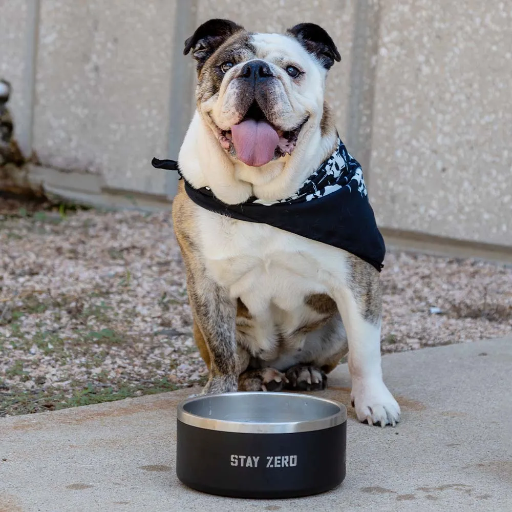 Dog Bowl