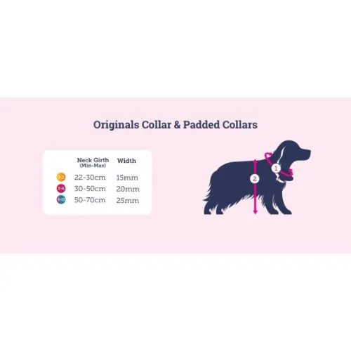 Doodlebone Dog Collar Coal Size 6-11