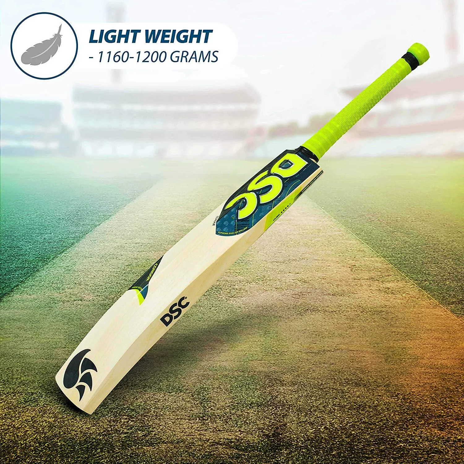 DSC Condor Surge English Willow Cricket Bat