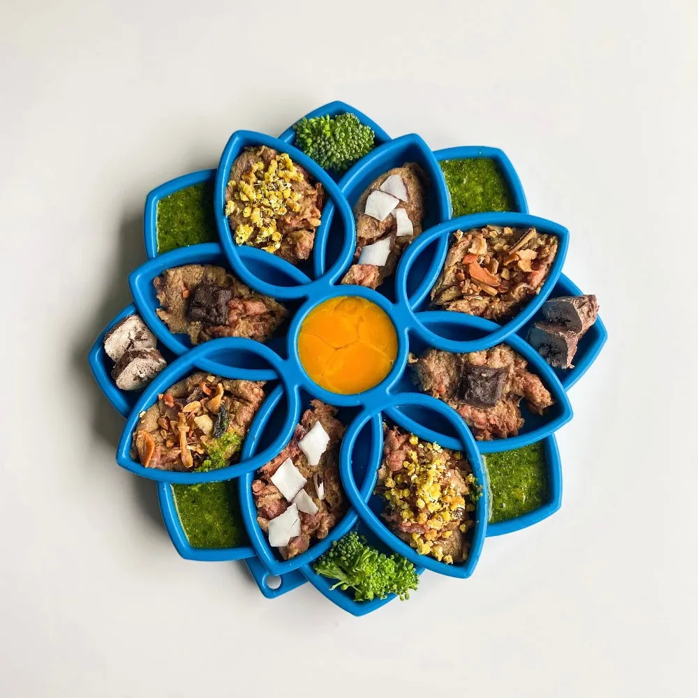 Enrichment tray for feeding dogs