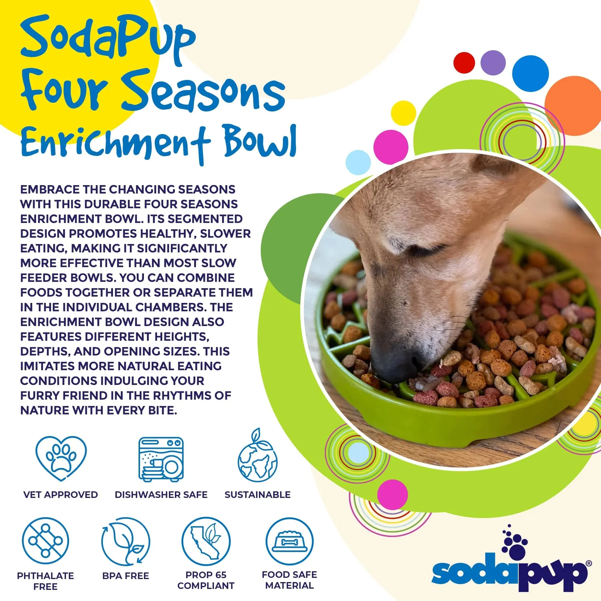 Four Seasons Enrichment Bowl (Shallow)