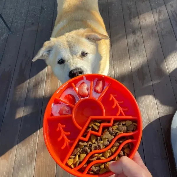 Great Outdoors Enrichment Bowl