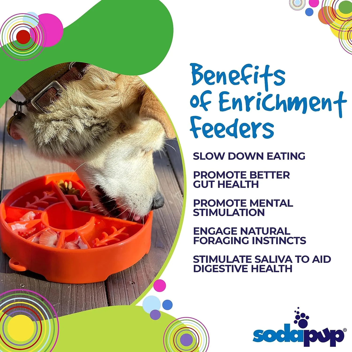 Great Outdoors Enrichment Bowl