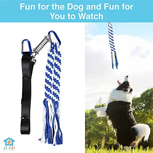 JT PET Outdoor Spring Pole for Small and Medium Dogs 15 Inch of Rope