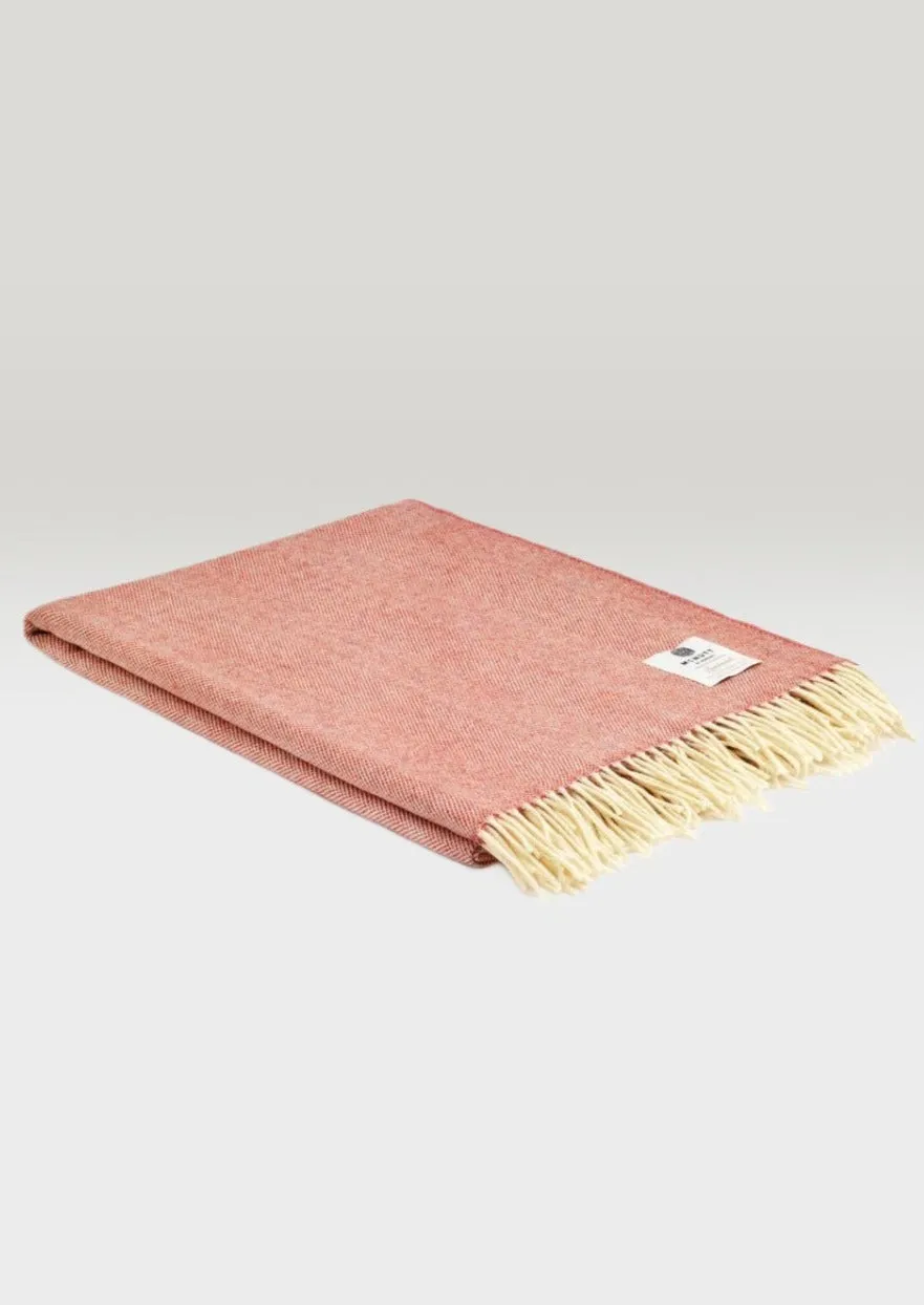 McNutt Lambswool Throw | Spotted Terracotta