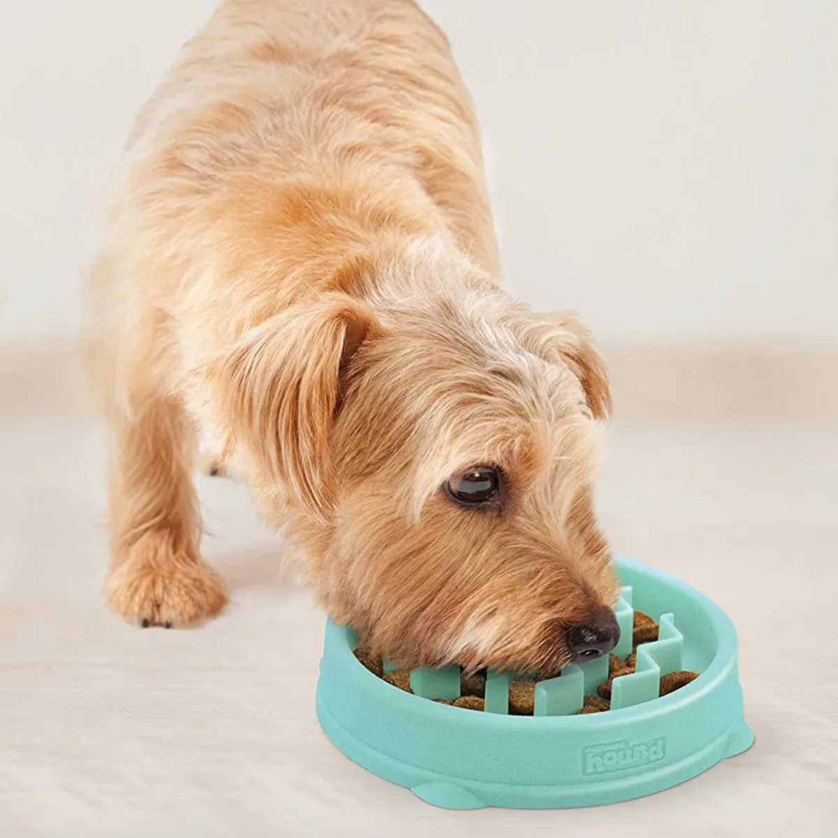 Mint Mini Wave Fun Feeder Slo Bowl