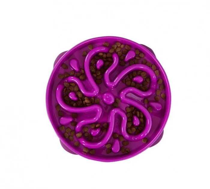 Outward Hound - Slow Feed Fun Bowl - Purple