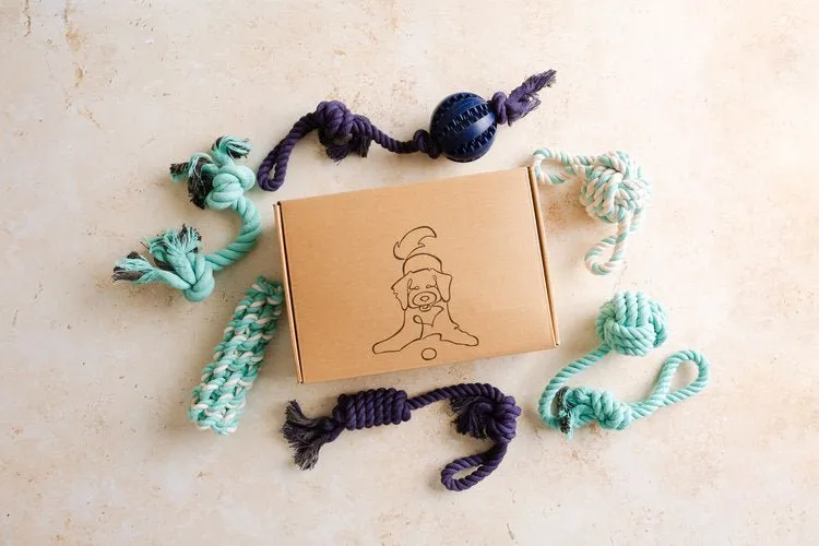 Pet Impact Learn The Ropes - Puppy Rope Toy Set