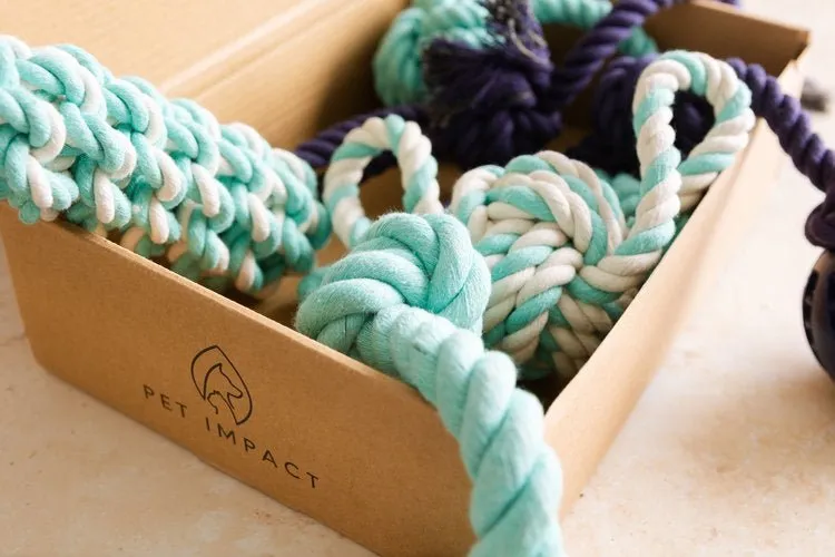 Pet Impact Learn The Ropes - Puppy Rope Toy Set
