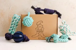 Pet Impact Learn The Ropes - Puppy Rope Toy Set