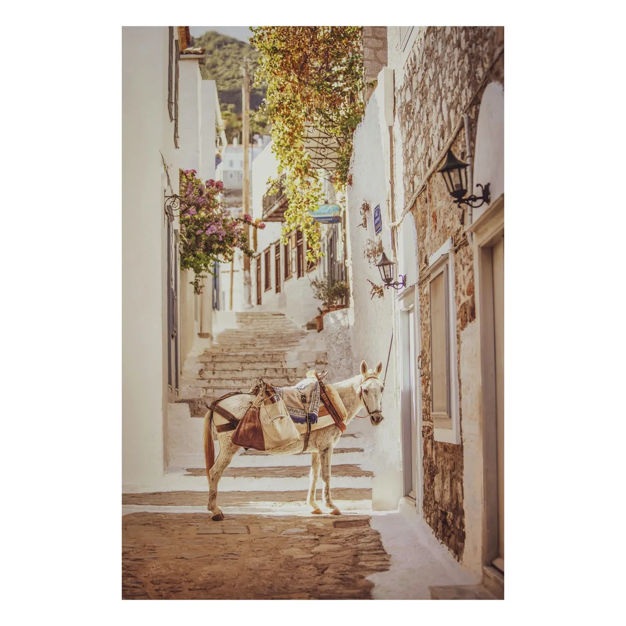 "Hydra, Greece" | Travel Photography Print