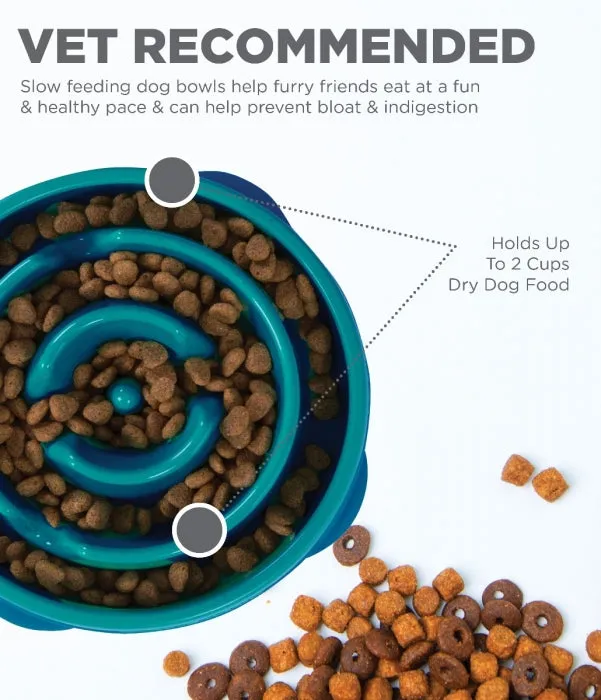 Slow Feeder Dog Bowl - Teal