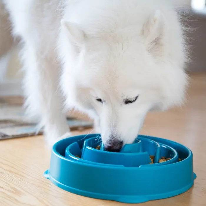 Slow Feeder Dog Bowl - Teal