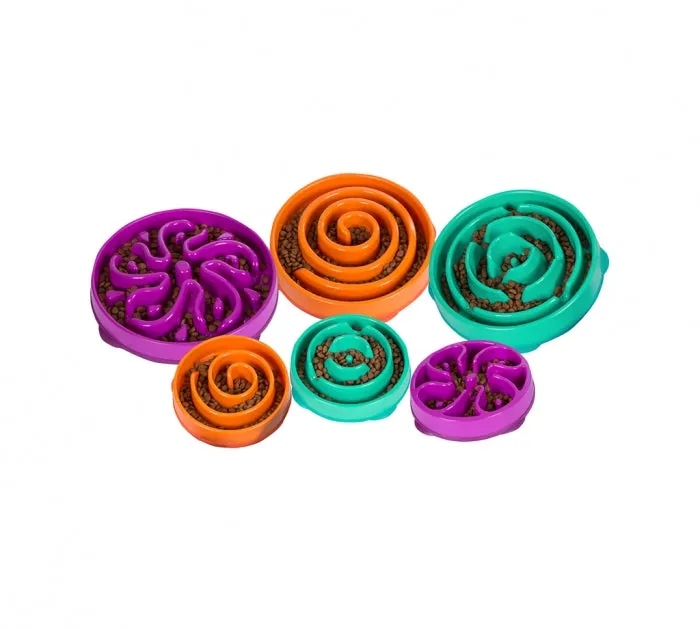 Slow Feeder Dog Bowl - Teal