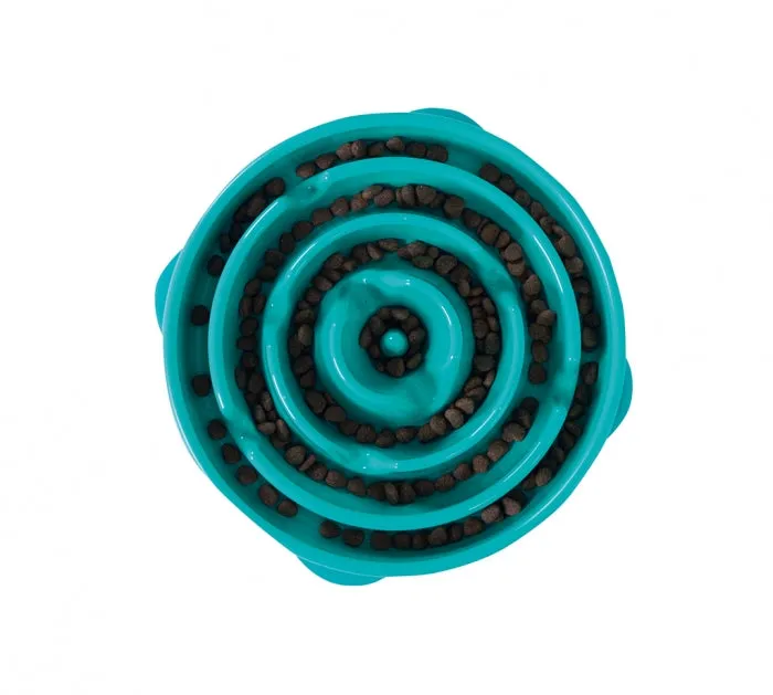 Slow Feeder Dog Bowl - Teal