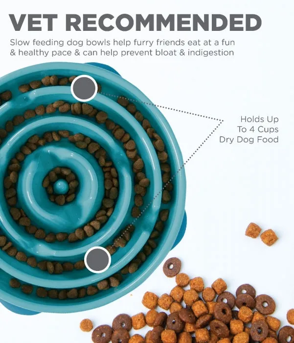 Slow Feeder Dog Bowl - Teal